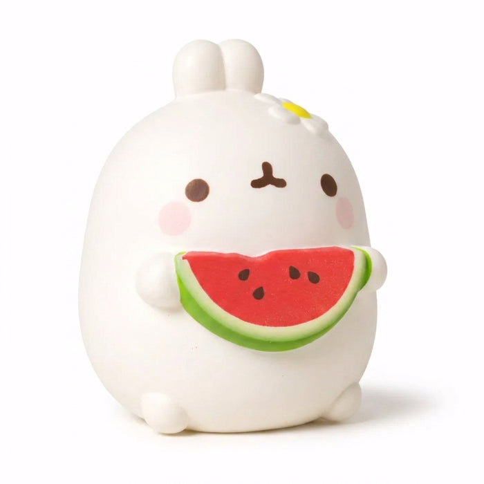 Squishy Le Chat Pastèque