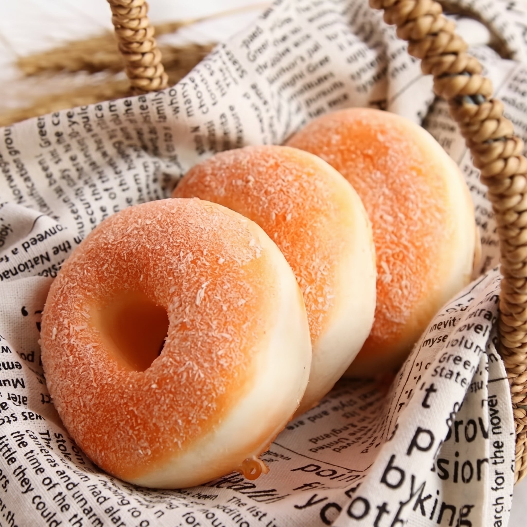 Squishy Donut Nature