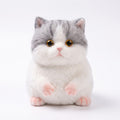 Squishy Chat Kawaii Mignon