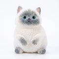Squishy Chat Kawaii Siamois