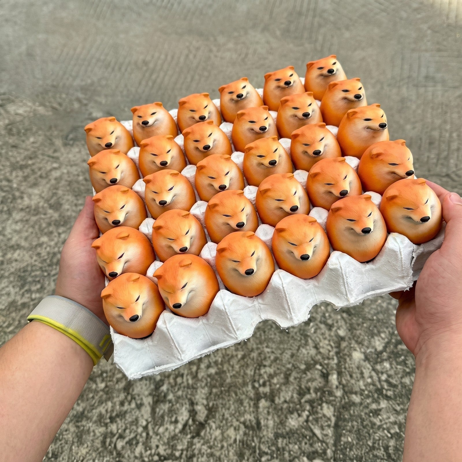 Plateau de Squishy Œuf Shiba Inu